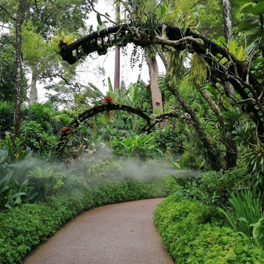 Now that it’s reached more than 150 years of age, Singapore Botanical Garden becomes one of the popular attractions in Singapore