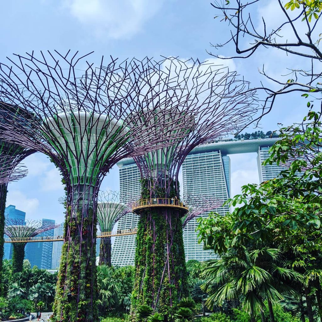 singapore botanical garden