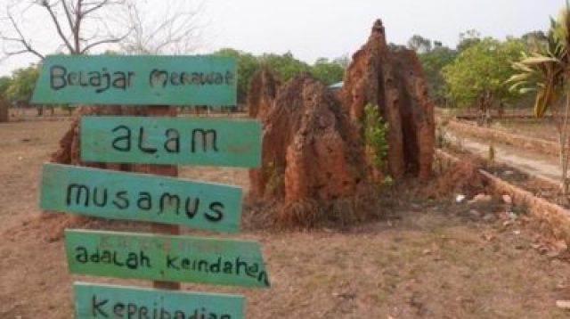 Wisata 1.000 Musamus Salor Indah di Merauke, Papua. ist